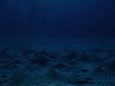 footer underwater background